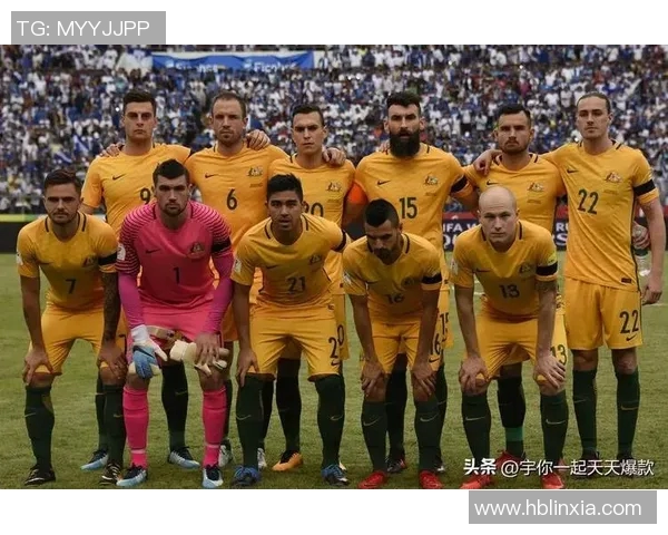 世界杯外围赛关键战役回顾揭示球队晋级希望与未来走势分析 世界杯外围赛关键战役回顾揭示球队晋级希望与未来走势分析