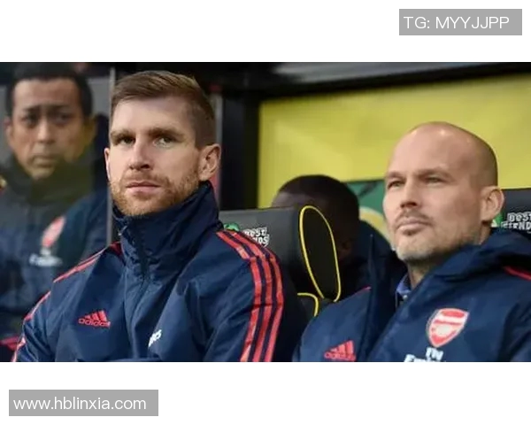 公牛队与主教练爆发激烈冲突 球员与教练关系急剧恶化 公牛队与主教练爆发激烈冲突 球员与教练关系急剧恶化